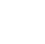 Venit Investments